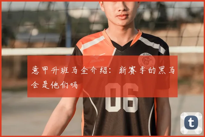 意甲升班马全介绍：新赛季的黑马会是他们吗